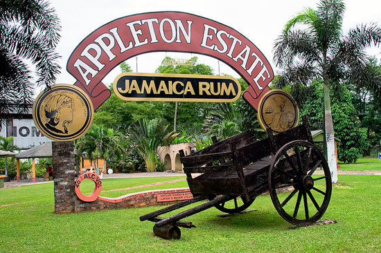 Hal Menyenangkan Yang Dapat Dilakukan di Jamaika II